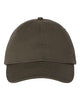 Adult Bio-washed Classic Dad Cap