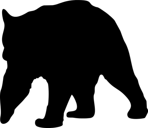 Bear 1