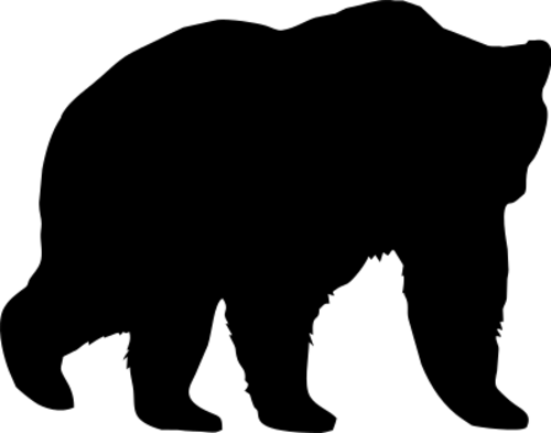 Bear 2