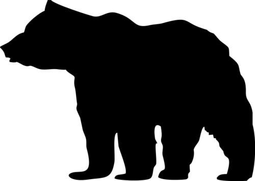 Bear 3
