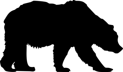 Bear 4