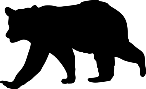 Bear 5