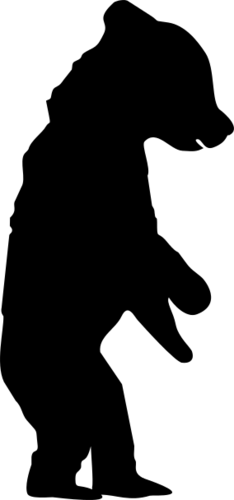 Bear 6