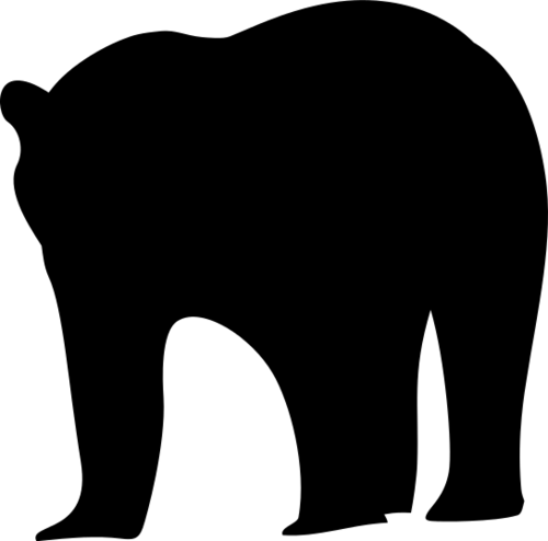 Bear 8