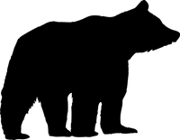 Bear 9