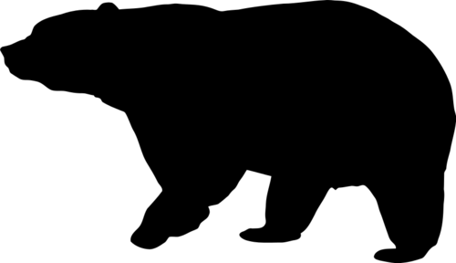 Bear 10