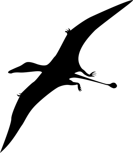 Dinosaur 5