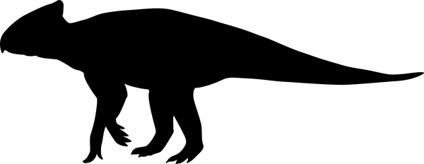 Dinosaur 11