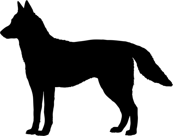 Tamaskan