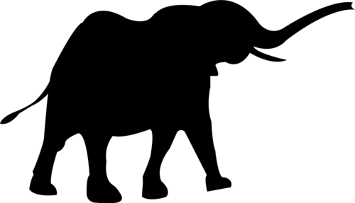 Elephant 1