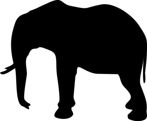 Elephant 7