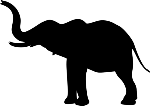 Elephant 8
