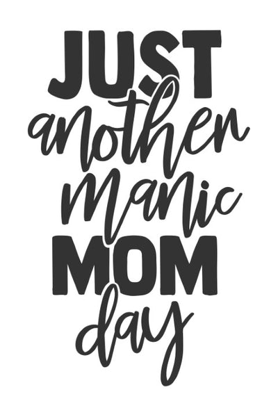 Just another manic mom day
