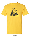 Hot Mess Express - Shirt