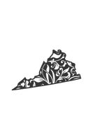 Virginia