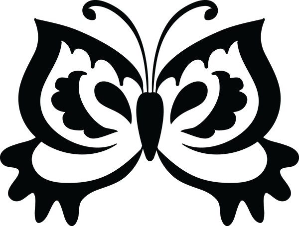 Butterfly 102