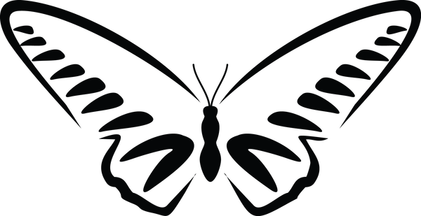 Butterfly 103