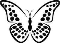 Butterfly 104
