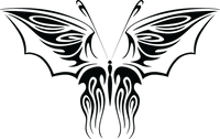 Butterfly 105
