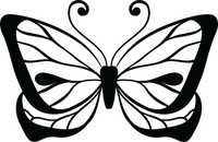 Butterfly 107