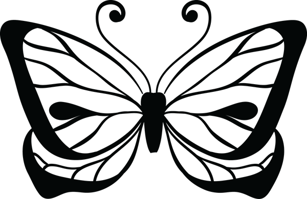 Butterfly 107