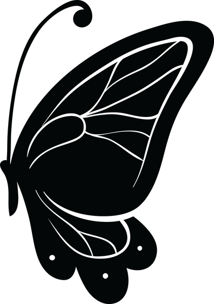 Butterfly 108