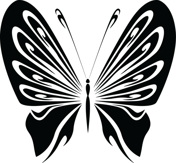 Butterfly 10