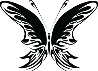 Butterfly 111