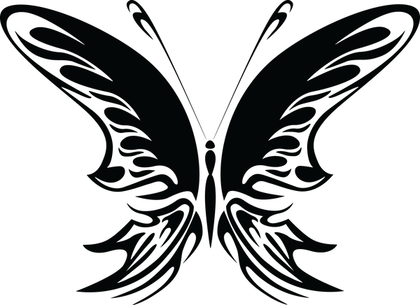 Butterfly 111