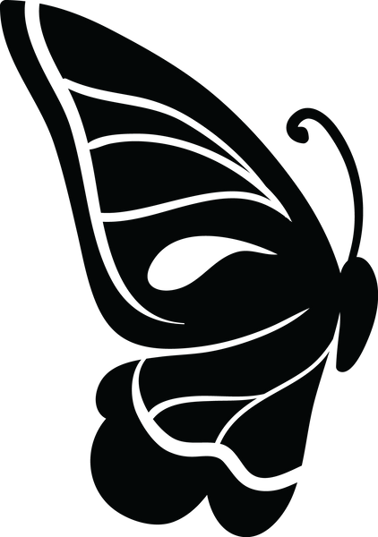 Butterfly 113
