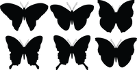 Butterfly 115