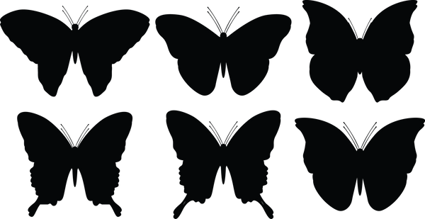 Butterfly 115