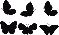 Butterfly 116