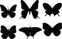 Butterfly 117