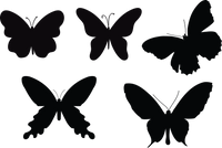 Butterfly 118