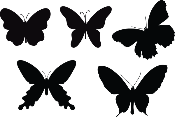 Butterfly 118