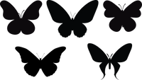 Butterfly 119