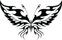 Butterfly 11