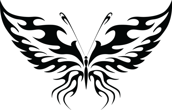Butterfly 11