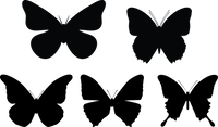Butterfly 120