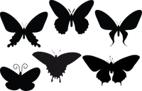 Butterfly 122
