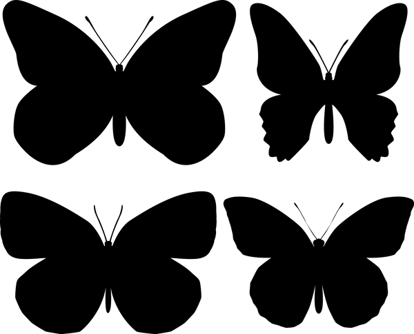 Butterfly 125