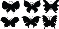 Butterfly 126