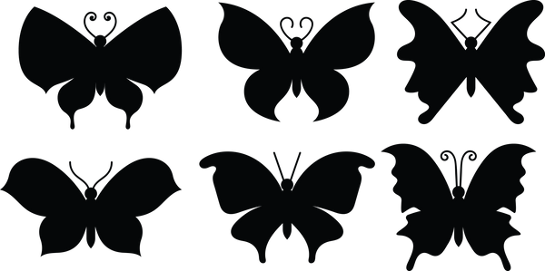 Butterfly 126