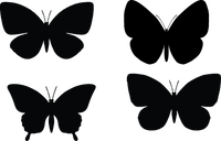 Butterfly 129