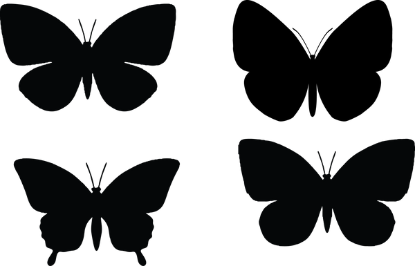 Butterfly 129