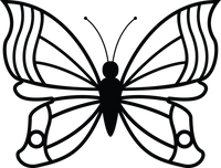 Butterfly 12