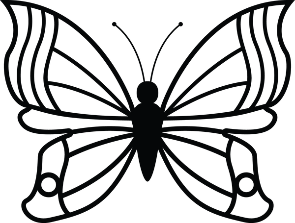 Butterfly 12