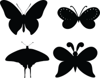 Butterfly 130
