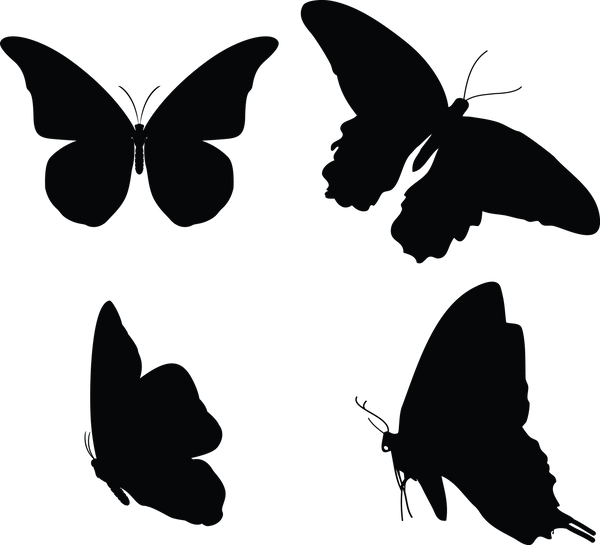 Butterfly 131